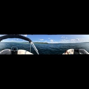 Meet your Posher, Bob